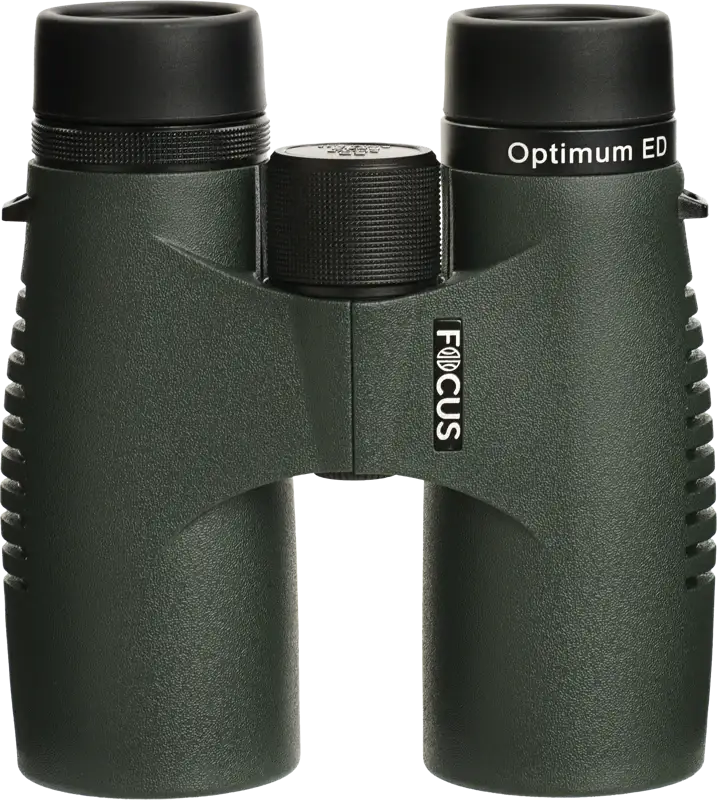 Focus Optimum 8x42 ED