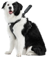 Insta360-lemmikkivaljaat aktiivisille lemmikeille, koko L