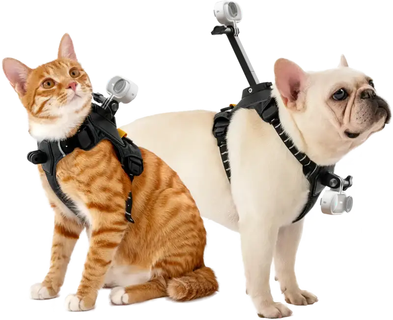 Insta360 Hundsele Storlek S för Actionkameror