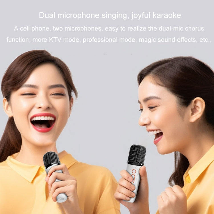 Kannettava Bluetooth-kaiutin kotiin ja ulkokäyttöön Langaton karaokeääni, Y5 1 mikrofoni, Y5 2 mikrofonia