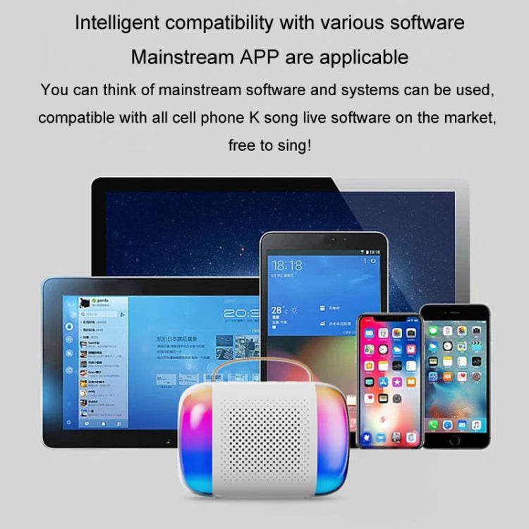 Kannettava Bluetooth-kaiutin kotiin ja ulkokäyttöön Langaton karaokeääni, Y5 1 mikrofoni, Y5 2 mikrofonia