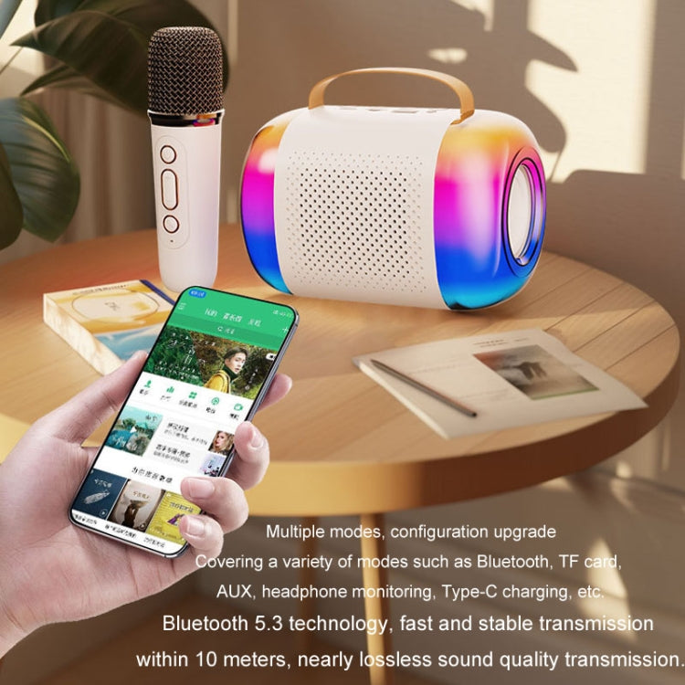 Kannettava Bluetooth-kaiutin kotiin ja ulkokäyttöön Langaton karaokeääni, Y5 1 mikrofoni, Y5 2 mikrofonia